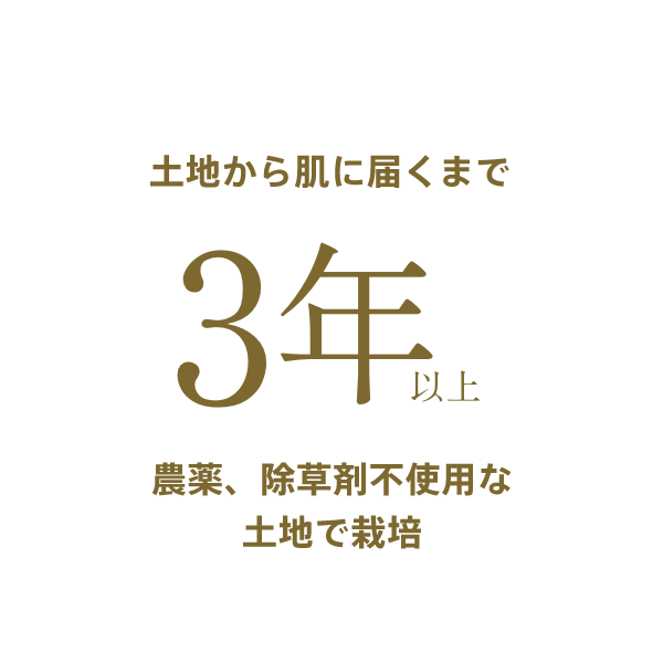 土地から肌に届くまで3年以上農薬、除草剤不使用な土地で栽培